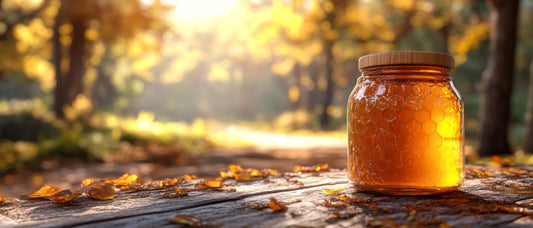 Wild Forest Honey – Benefits, Uses & How to Buy Forest Honey Online