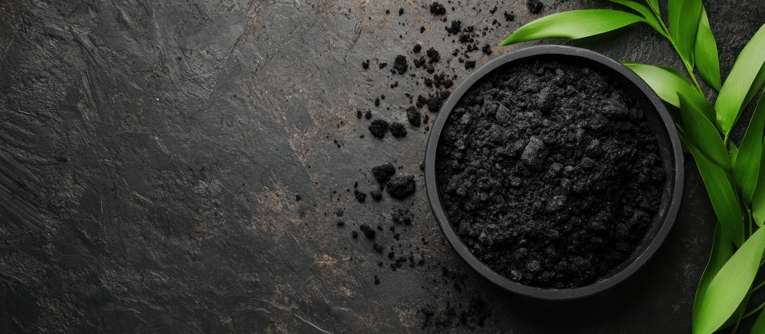 Let Your Skin Breathe Again: Why Activated Charcoal Mud Mask is the Detox Your Face Needs