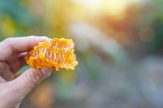 Wild Forest Honey: A Natural Sweetener for Every Dish