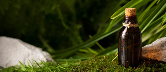 The Honest Truth About Onion Hair Oil – Grandma’s Secret Is Back and It’s Better Than Ever