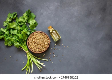 5 Amazing Health Benefits of Organic Coriander Powder