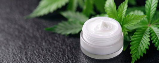 Glow Naturally Every Day: The Gentle Power of Hemp Face Cream by The Green Life Bazar