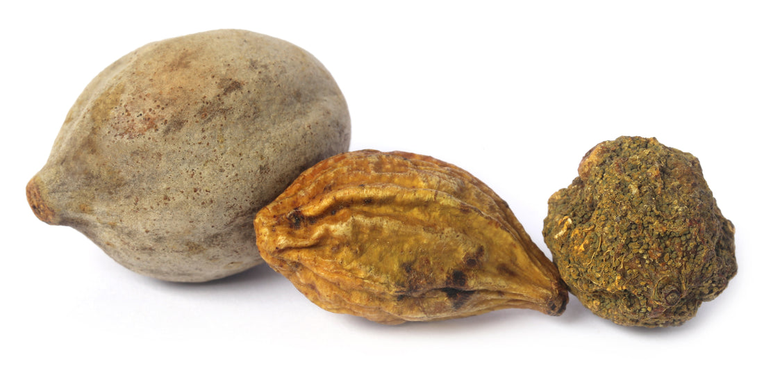 Triphala Face-off: Green Life Bazar’s Himalayan Triphala vs Leading Ayurvedic Brands