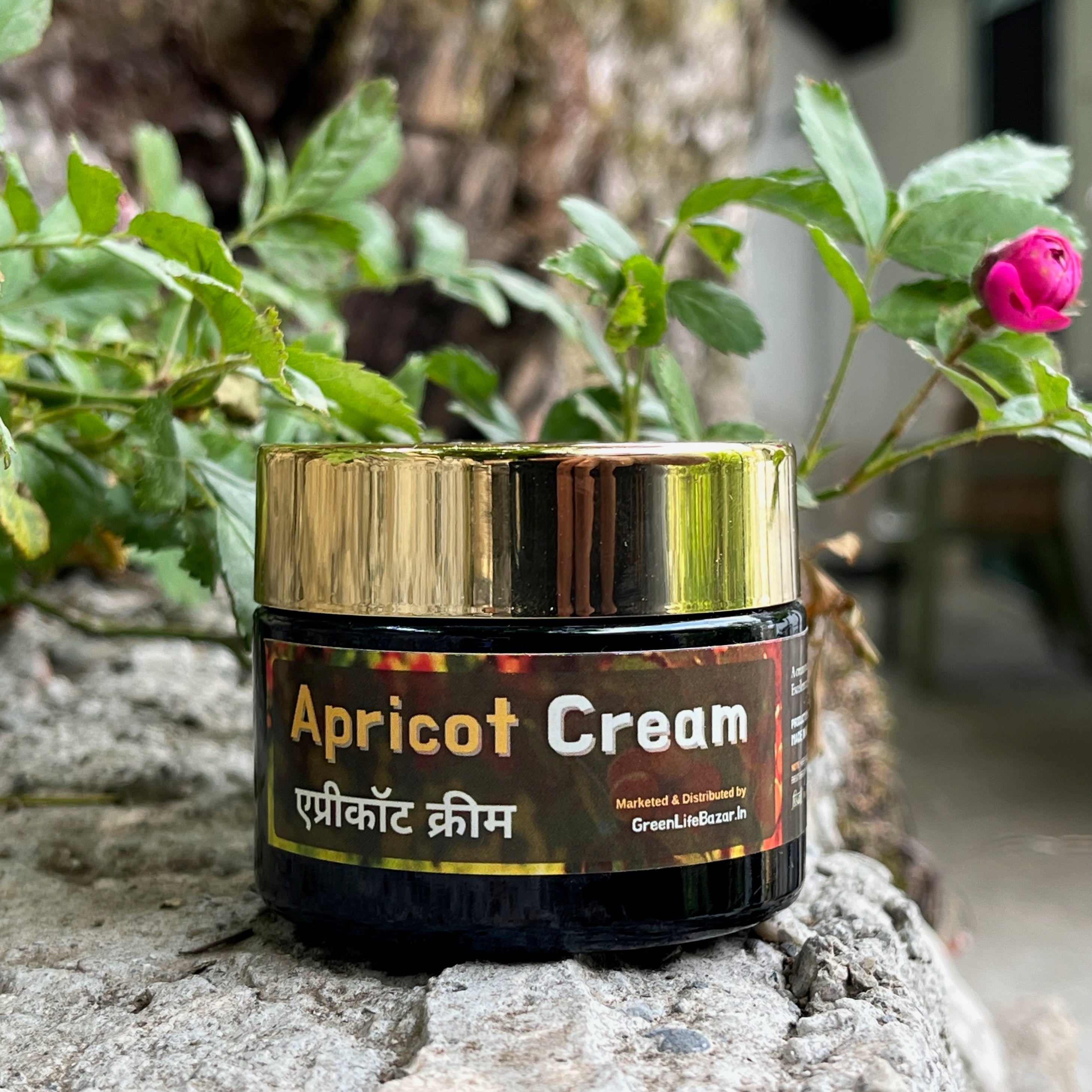 Himalayan Apricot Cream Himalayan Apricot Cream