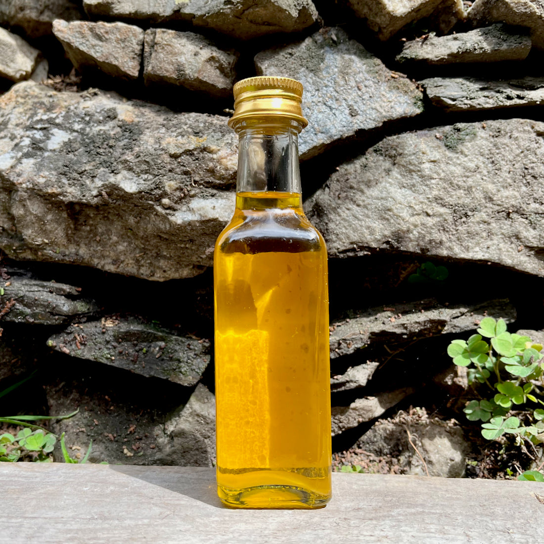 Himalayan Apricot Oil Himalayan Apricot Oil