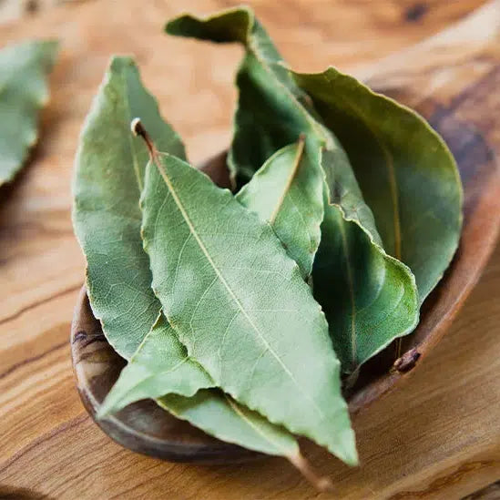 Bay Leaf (Tej Patta) Bay Leaf (Tej Patta)