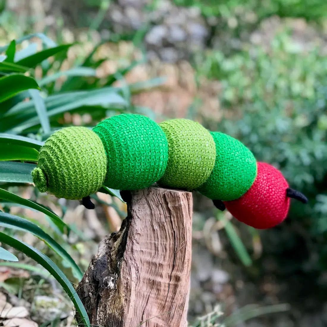 Caterpillar Toy Caterpillar Toy