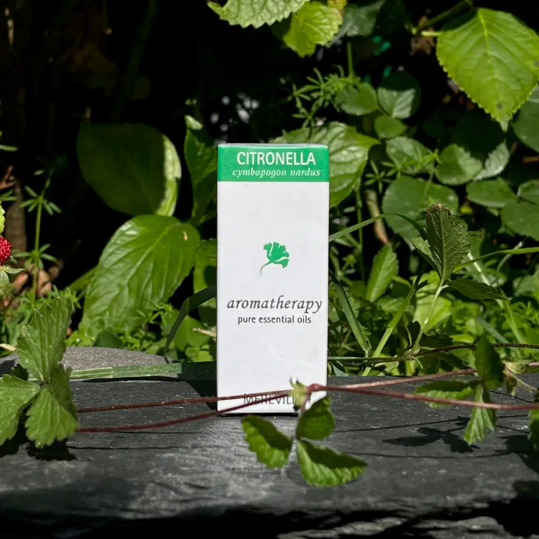 📣 Best-Value Pure Aromatherapy Oil Pack! 👉🏽 📣 Best-Value Pure Aromatherapy Oil Pack! 👉🏽