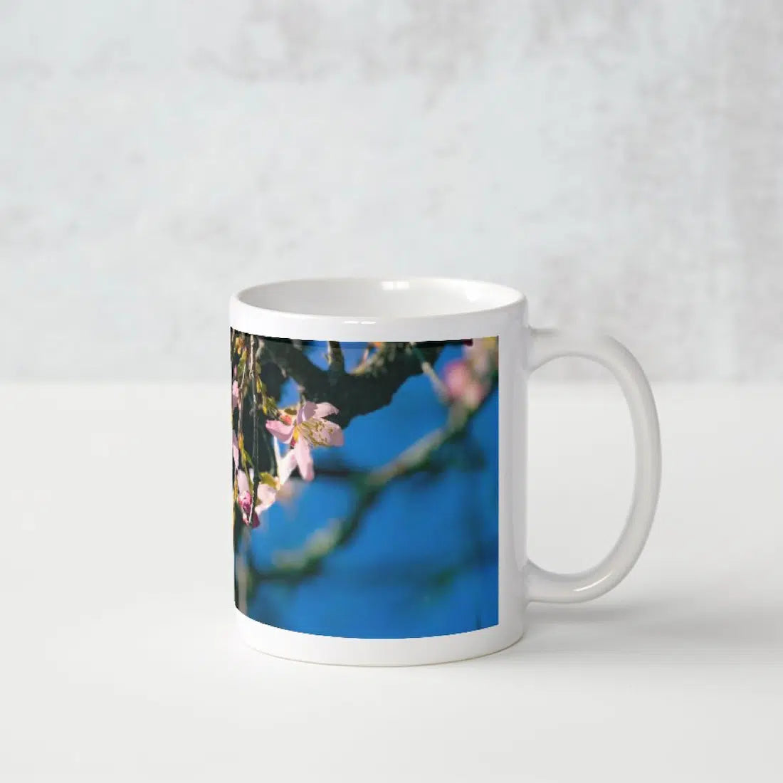 Mountan Mugs Mountan Mugs