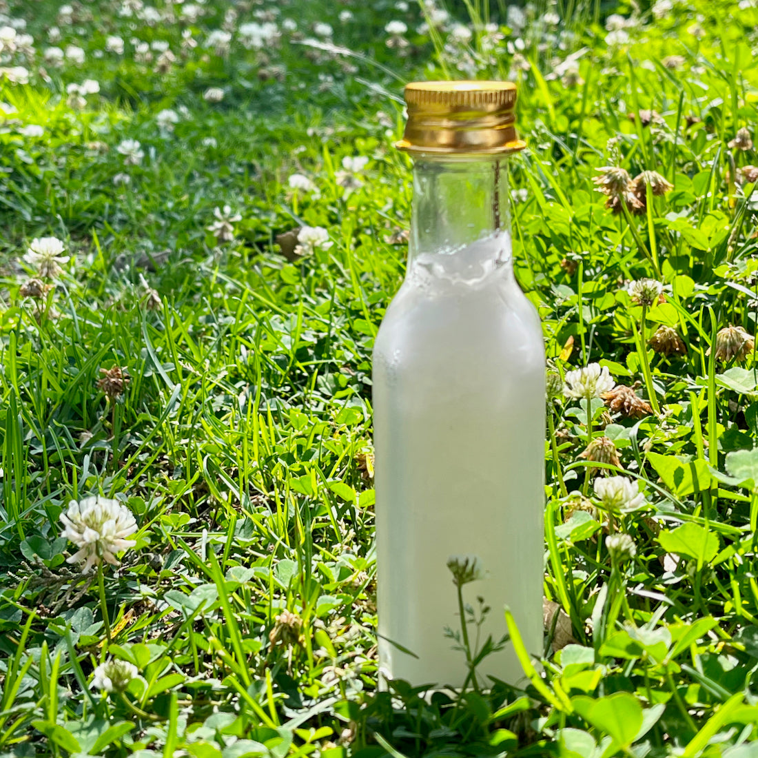 Pure Coconut Oil (100ml) Pure Coconut Oil (100ml)