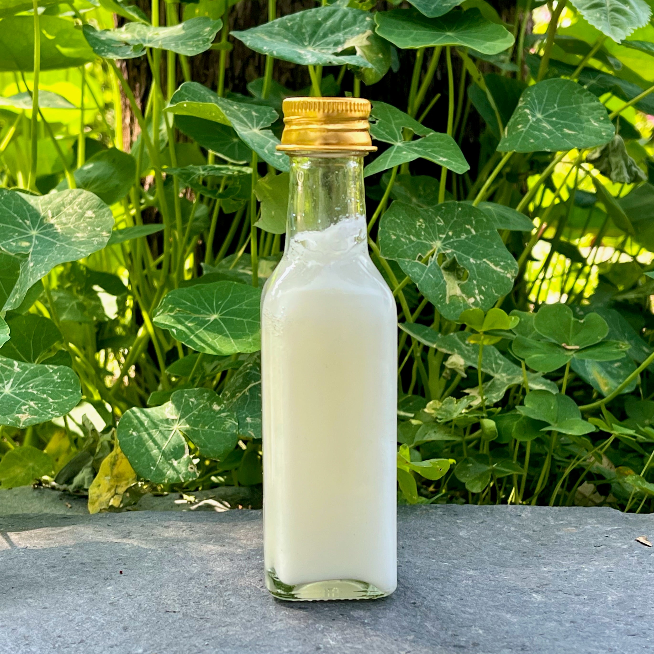 Pure Coconut Oil (100ml) Pure Coconut Oil (100ml)