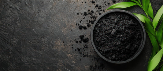 When Your Skin Feels Tired: How an Activated Charcoal Mud Mask Helps It Reset Naturally