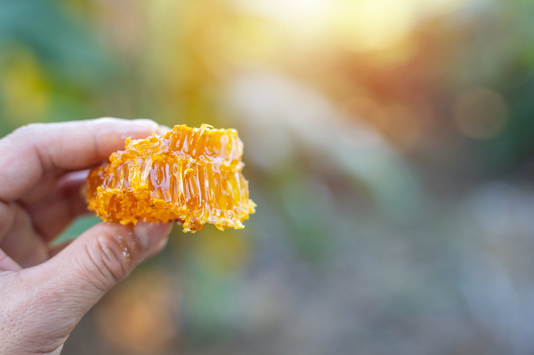 Wild Forest Honey: A Natural Sweetener for Every Dish
