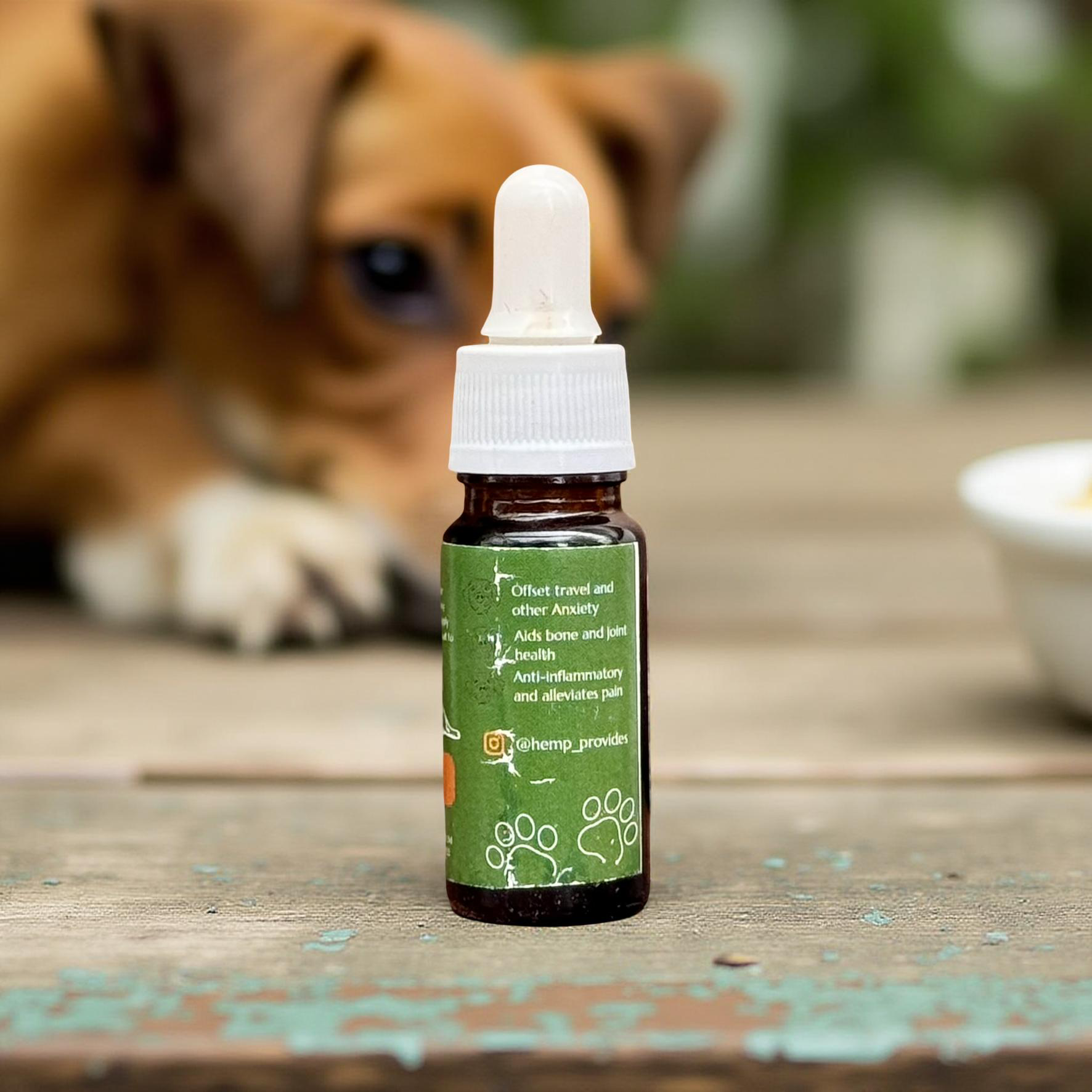 CBD Oil for Pets