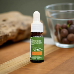 CBD Oil for Pets