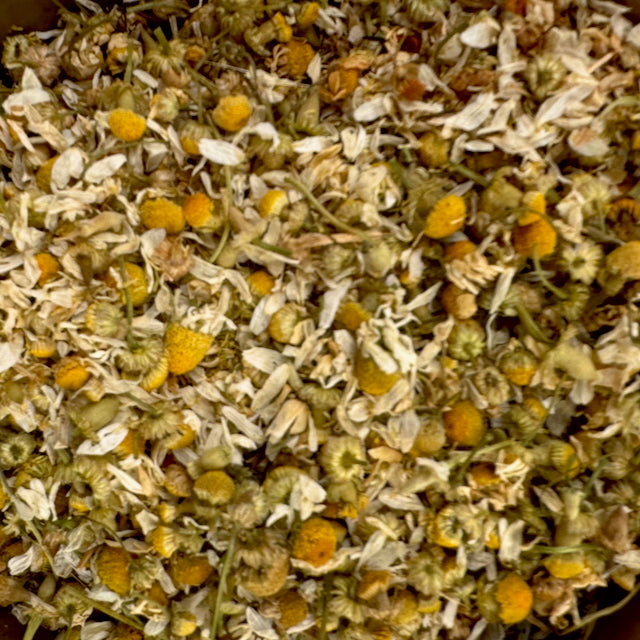 Chamomile Tea (Festive-Can)