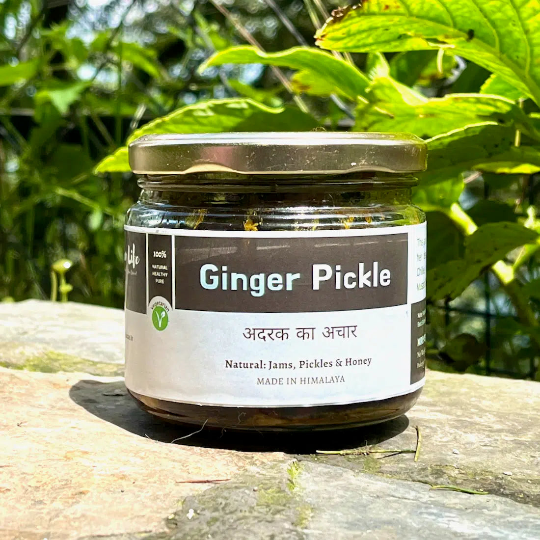 Ginger Pickle | अदरक का अचार