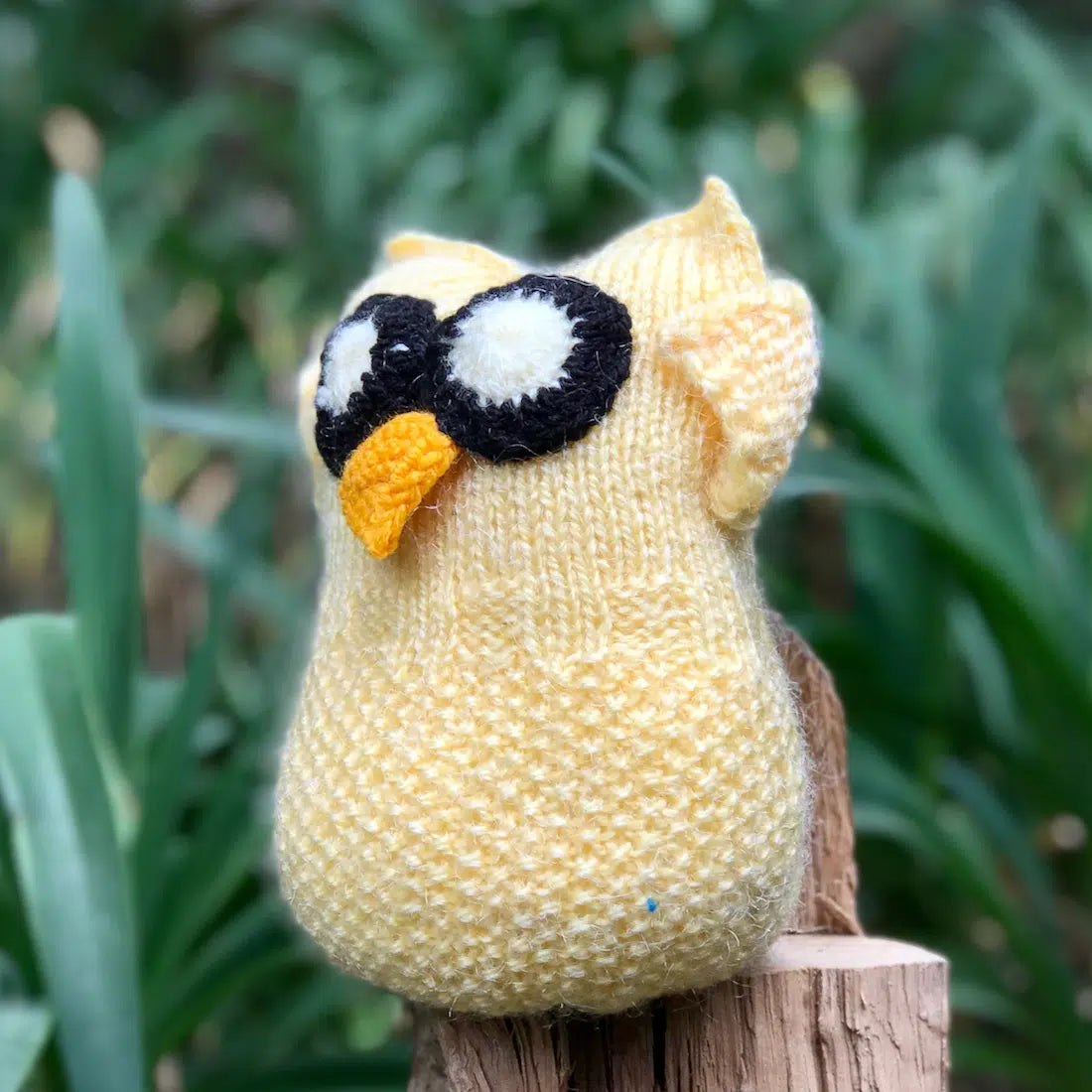 Owl Toy